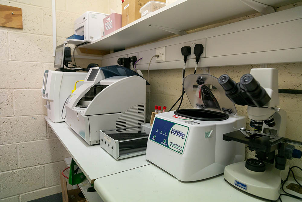 In-house Laboratory at Cinder Hill Equine Vets In Sussex