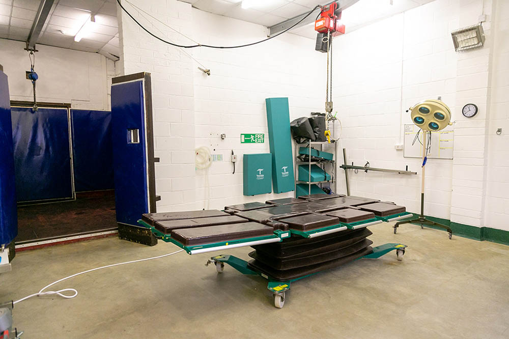 Surgical Theatre at Cinder Hill Equine Vets In Sussex