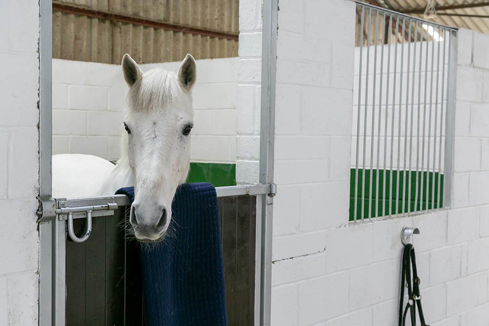 Stabling at Cinder Hill Equine Vets In Sussex
