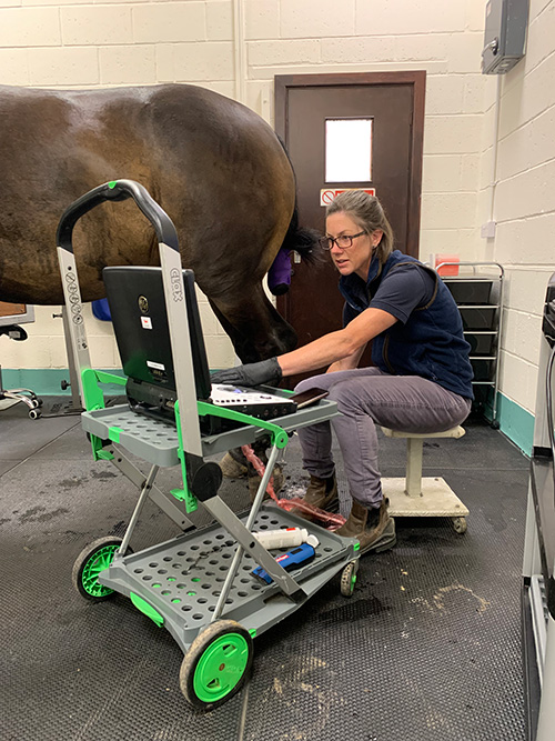 Lameness diagnosis with Ultrasound