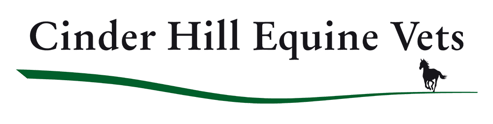 Visit Cinder Hill Equine Clinic home page