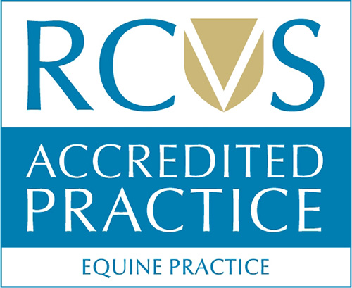 RCVS Equine