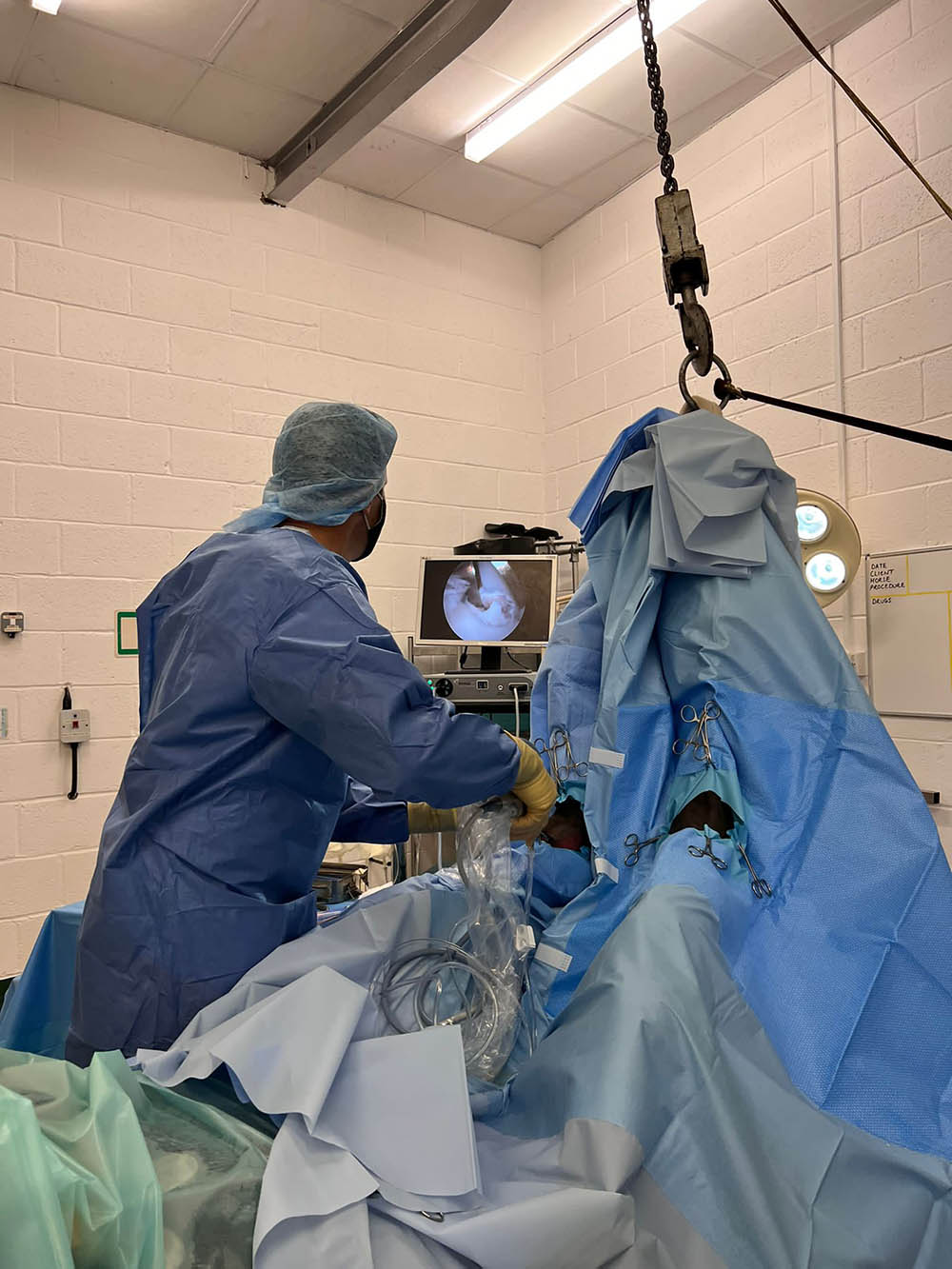 Equine surgery at Cinderhill Equine Vet in Sussex